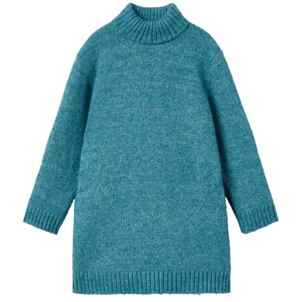 ZARA Turtle Knit Dress